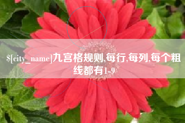 信阳九宫格规则,每行,每列,每个粗线都有1-9