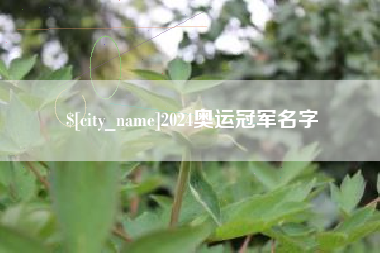 信阳2024奥运冠军名字