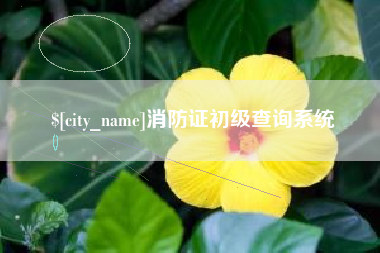 信阳消防证初级查询系统