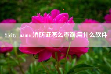 信阳消防证怎么查询,用什么软件