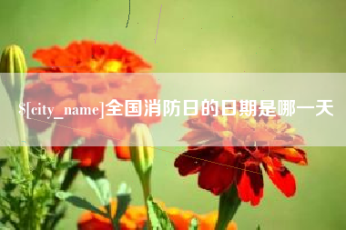 信阳全国消防日的日期是哪一天
