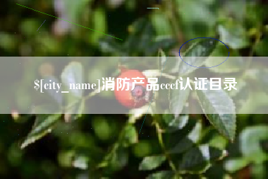 信阳消防产品cccf认证目录