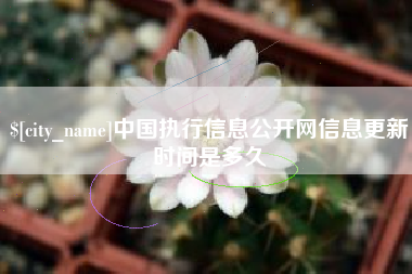 信阳中国执行信息公开网信息更新时间是多久