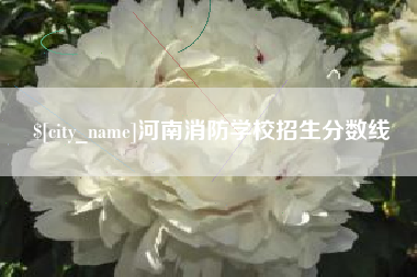 信阳河南消防学校招生分数线