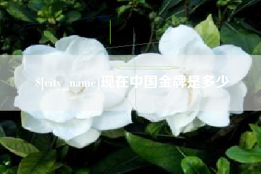 信阳现在中国金牌是多少