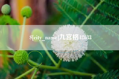 信阳九宫格42633