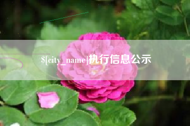 信阳执行信息公示