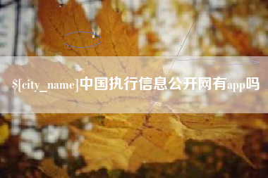 信阳中国执行信息公开网有app吗