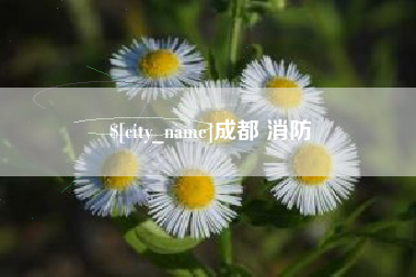 信阳成都 消防