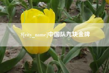 信阳中国队九块金牌