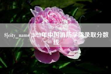 信阳2021年中国消防学院录取分数线