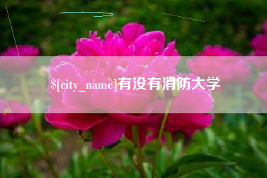 信阳有没有消防大学