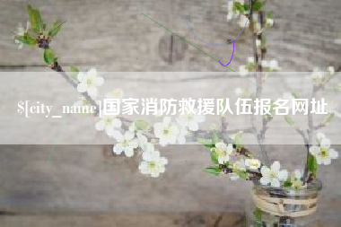 信阳国家消防救援队伍报名网址