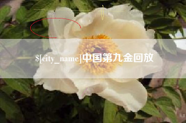 信阳中国第九金回放