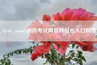 信阳消防考试网官网报名入口网址