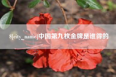 信阳中国第九枚金牌是谁得的