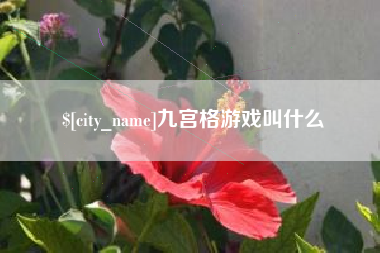 信阳九宫格游戏叫什么