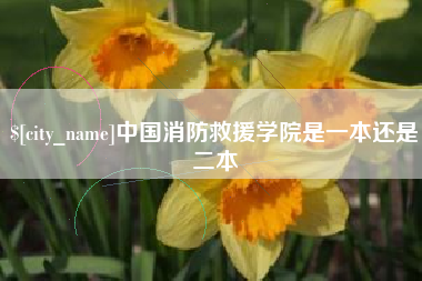 信阳中国消防救援学院是一本还是二本