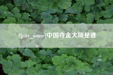 信阳中国夺金大项是谁
