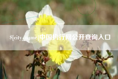 信阳中国执行网公开查询入口