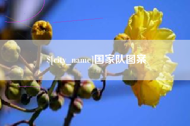 信阳国家队图案
