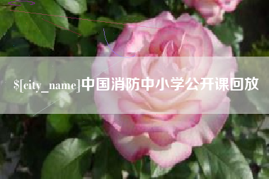 信阳中国消防中小学公开课回放