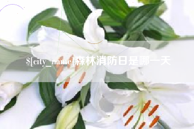 信阳森林消防日是哪一天