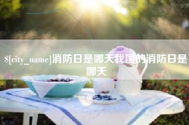 信阳消防日是哪天我国的消防日是哪天