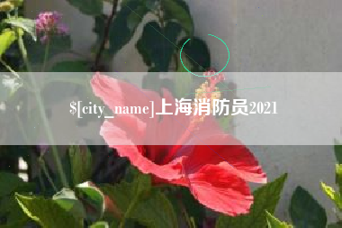 信阳上海消防员2021