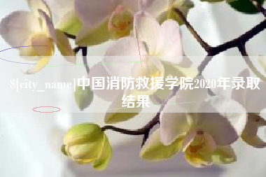 信阳中国消防救援学院2020年录取结果