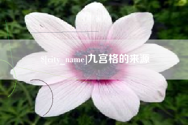 信阳九宫格的来源