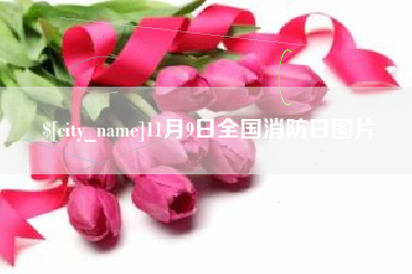 信阳11月9日全国消防日图片