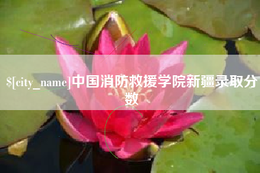 信阳中国消防救援学院新疆录取分数
