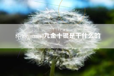信阳九金十银是干什么的