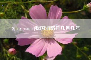信阳我国消防日几月几号