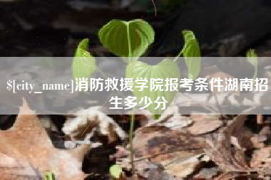 信阳消防救援学院报考条件湖南招生多少分