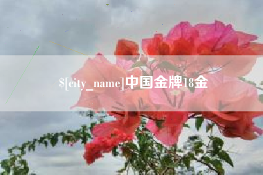 信阳中国金牌18金