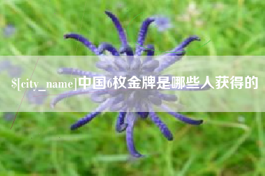 信阳中国6枚金牌是哪些人获得的