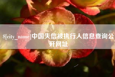 信阳中国失信被执行人信息查询公开网址
