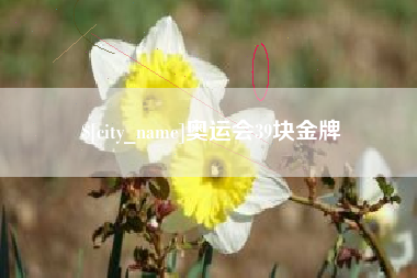 信阳奥运会39块金牌