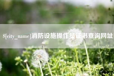 信阳消防设施操作员证书查询网址
