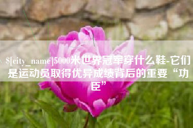信阳5000米世界冠军穿什么鞋-它们是运动员取得优异成绩背后的重要“功臣”