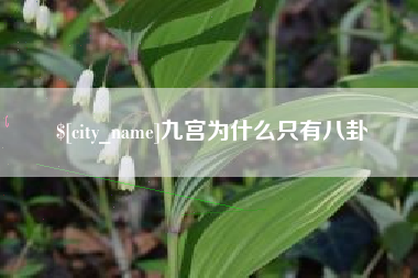 信阳九宫为什么只有八卦