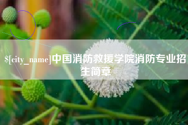 信阳中国消防救援学院消防专业招生简章