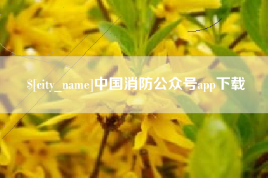 信阳中国消防公众号app下载