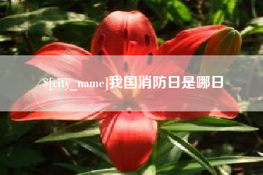 信阳我国消防日是哪日