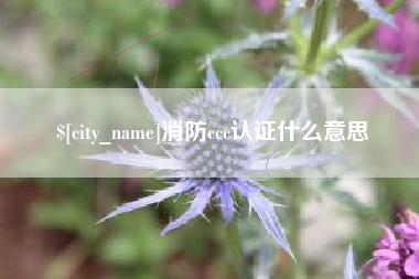 信阳消防ccc认证什么意思