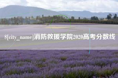 信阳消防救援学院2020高考分数线