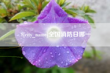 信阳全国消防日哪一