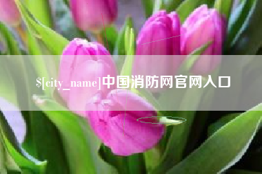 信阳中国消防网官网入口